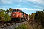 CN 2251 leads 403 at Rocher Blanc Street